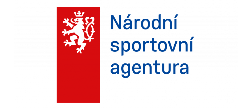 Logo NSA